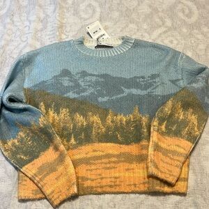 NWT: Zara mountain scape Sweater | Sz: S